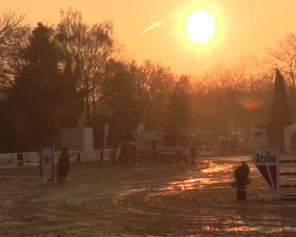 Reitturnier Bottrop 2019