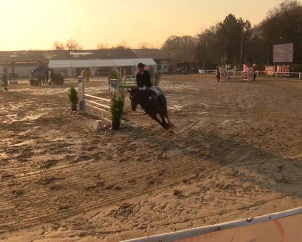 Reitturnier Bottrop 2019