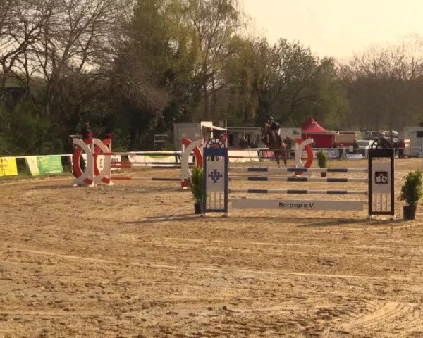 Reitturnier Bottrop 2019