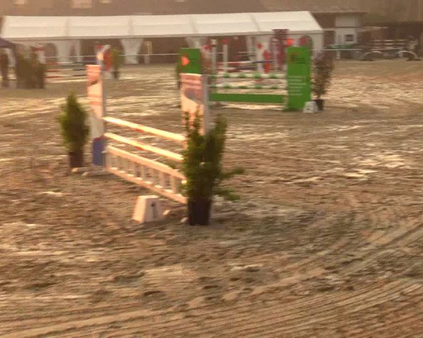 Reitturnier Bottrop 2019