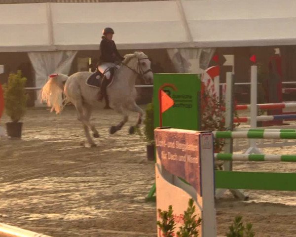 Reitturnier Bottrop 2019