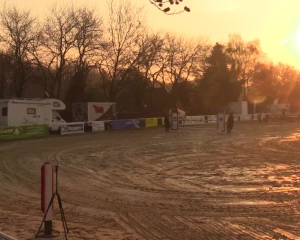 Reitturnier Bottrop 2019