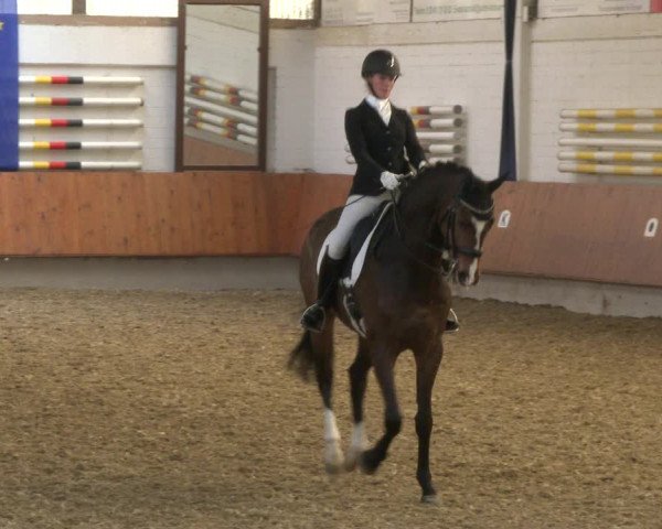 Reitturnier Bottrop 2019