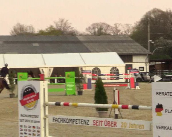 Reitturnier Bottrop 2019