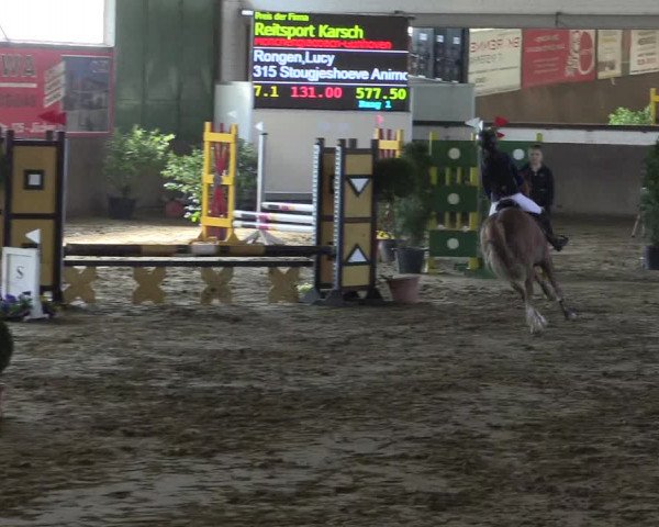 Reitturnier Jüchen-Waat 2019