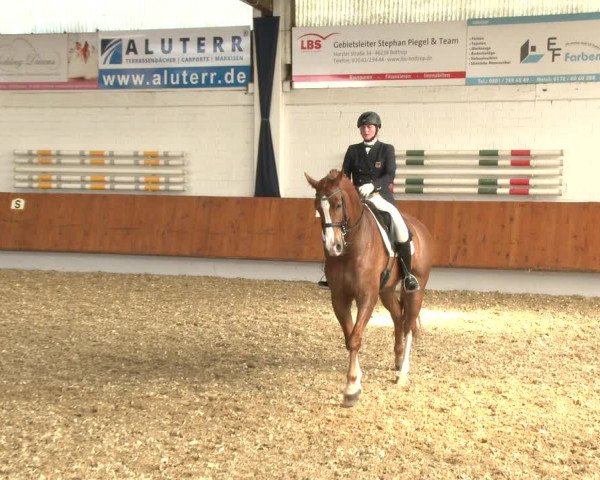 Reitturnier Bottrop 2019