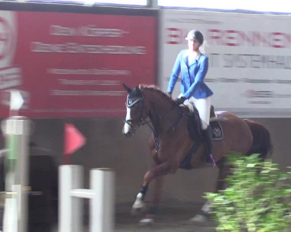 Reitturnier Jüchen-Waat 2019