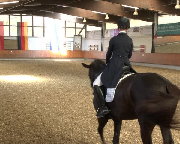 Reitturnier Bottrop 2019