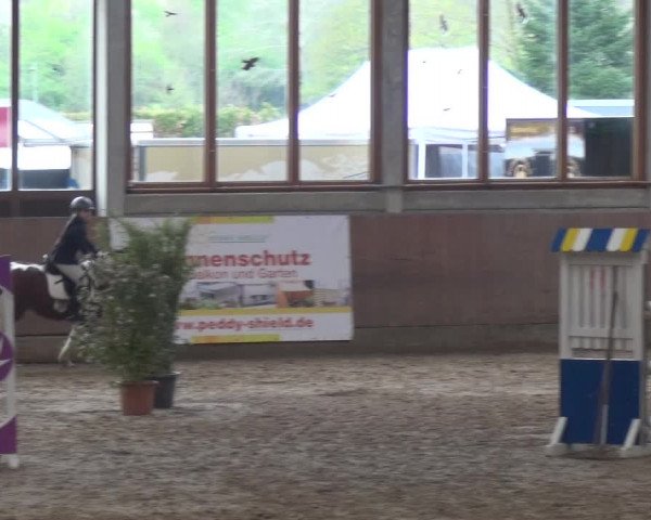 Reitturnier Leverkusen-Rheindorf 2019