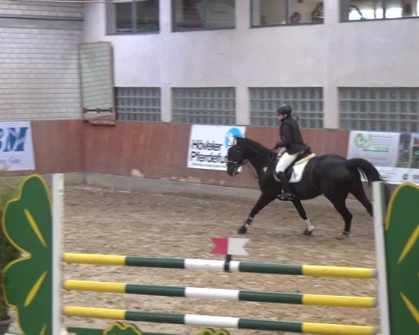 Reitturnier Leverkusen-Rheindorf 2019