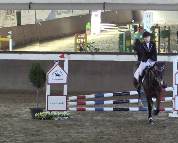 Reitturnier Jüchen-Waat 2019