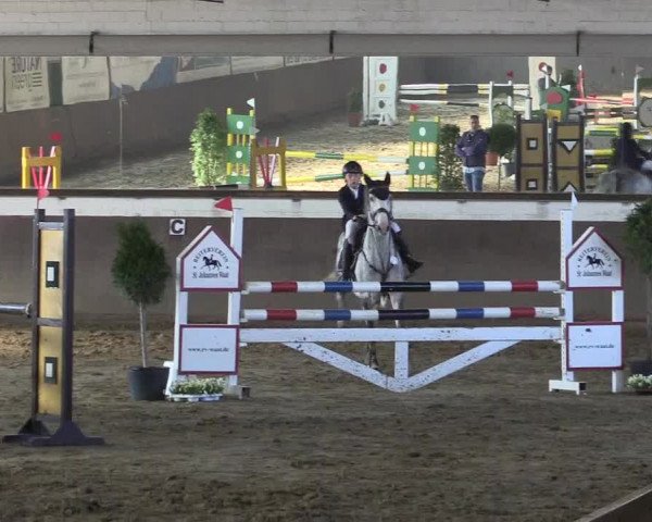 Reitturnier Jüchen-Waat 2019