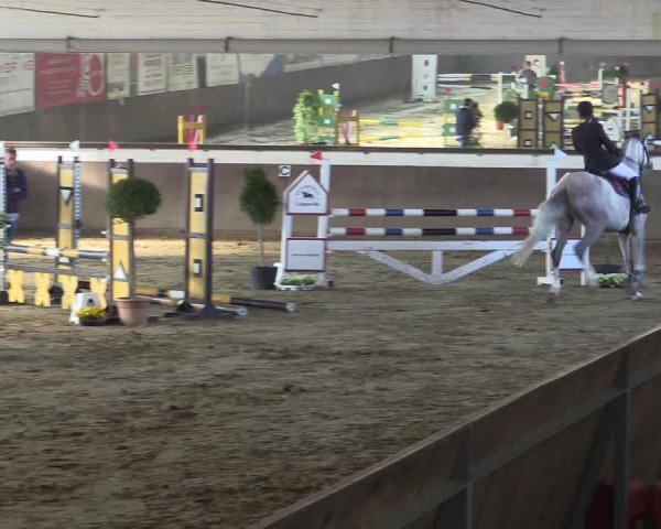 Reitturnier Jüchen-Waat 2019