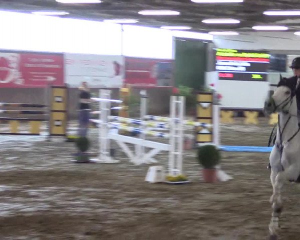 Reitturnier Jüchen-Waat 2019