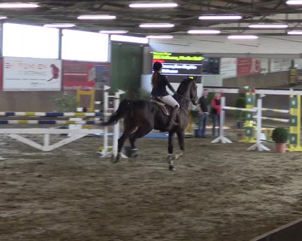 Reitturnier Jüchen-Waat 2019