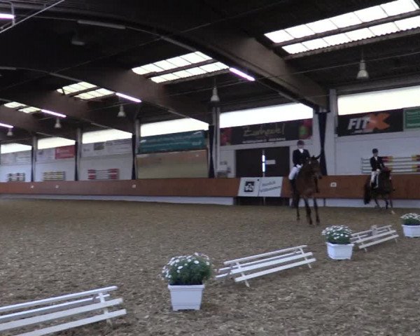 Reitturnier Bottrop 2019