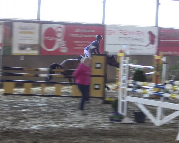 Reitturnier Jüchen-Waat 2019