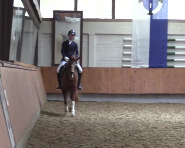 Reitturnier Bottrop 2019