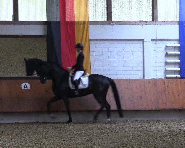 Reitturnier Bottrop 2019