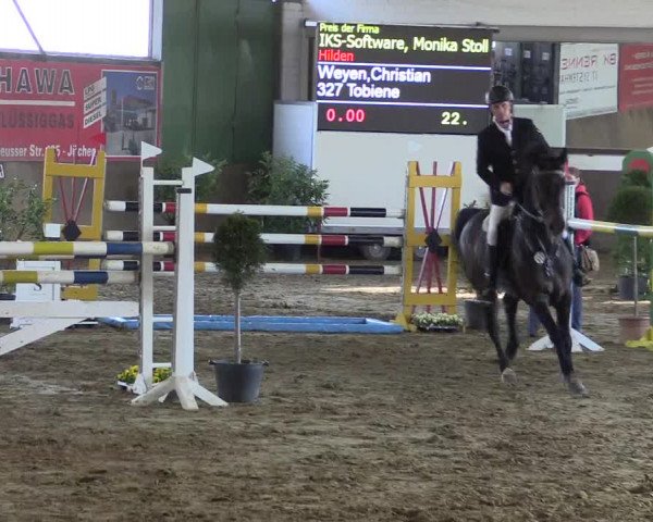 Reitturnier Jüchen-Waat 2019