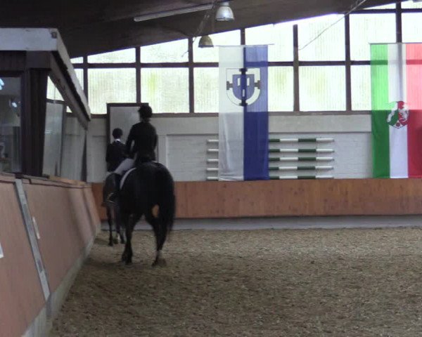 Reitturnier Bottrop 2019