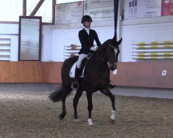 Reitturnier Bottrop 2019