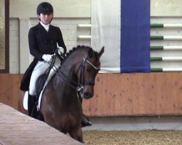 Reitturnier Bottrop 2019