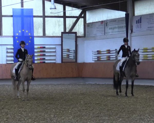 Reitturnier Bottrop 2019