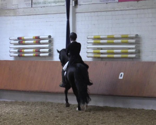 Reitturnier Bottrop 2019