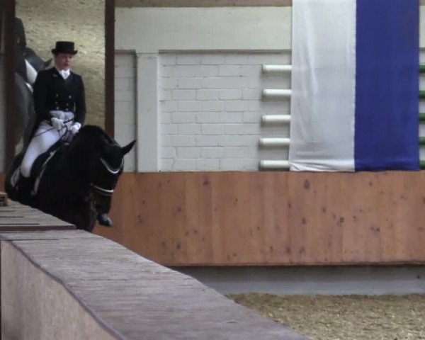 Reitturnier Bottrop 2019