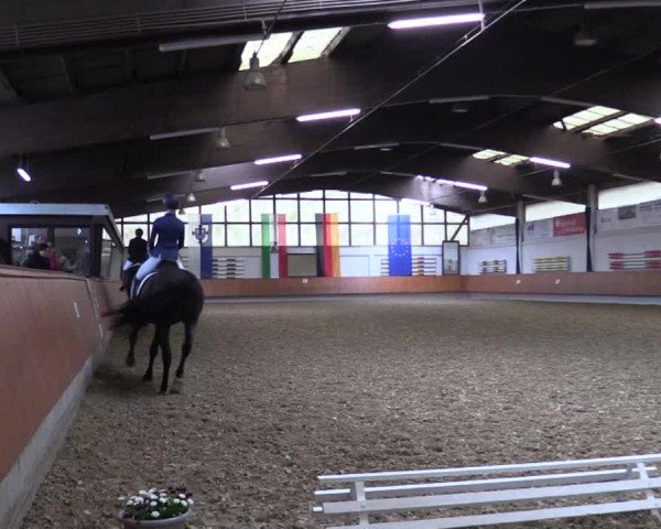 Reitturnier Bottrop 2019
