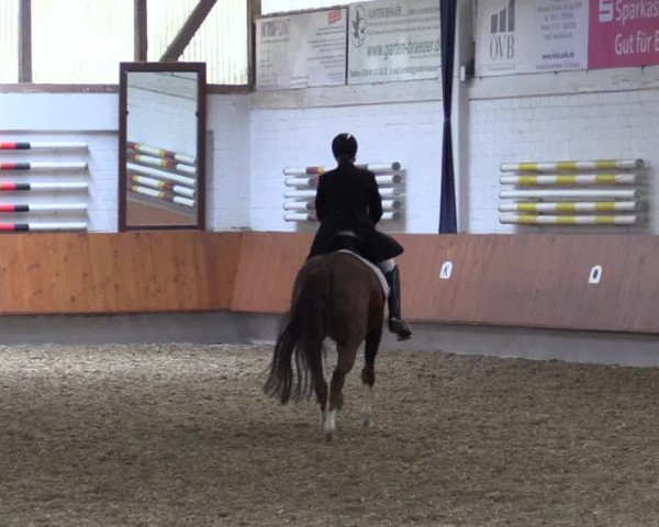 Reitturnier Bottrop 2019
