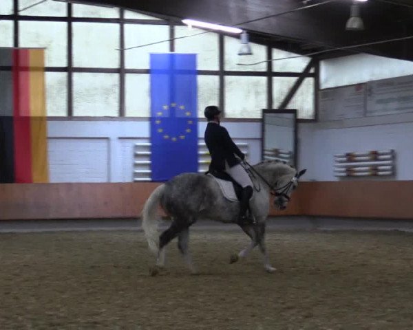Reitturnier Bottrop 2019
