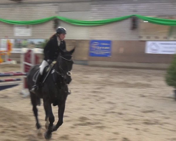 Reitturnier Leverkusen-Rheindorf 2019