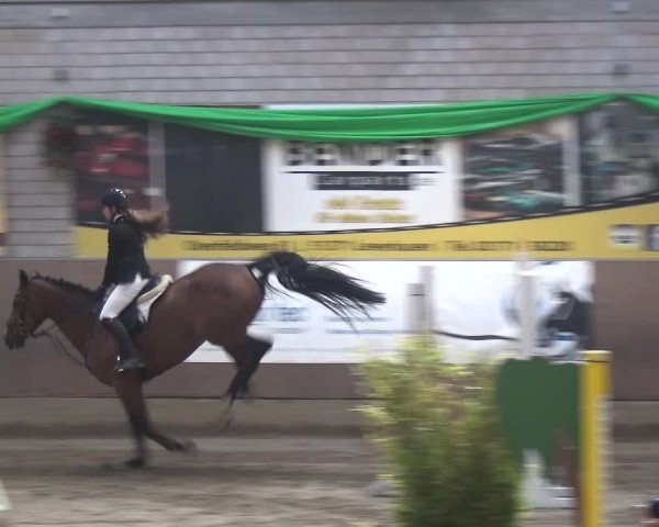 Reitturnier Leverkusen-Rheindorf 2019