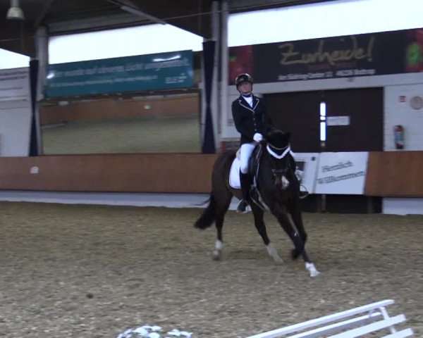 Reitturnier Bottrop 2019