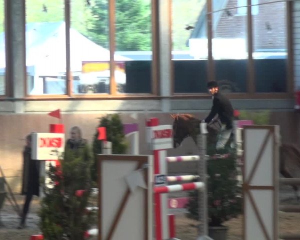 Reitturnier Leverkusen-Rheindorf 2019