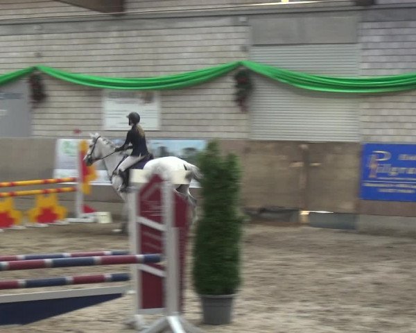 Reitturnier Leverkusen-Rheindorf 2019