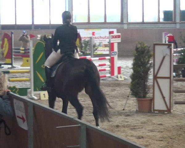 Reitturnier Leverkusen-Rheindorf 2019