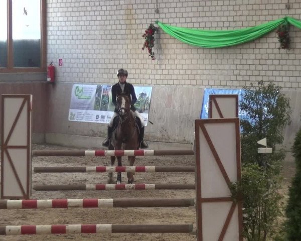 Reitturnier Leverkusen-Rheindorf 2019