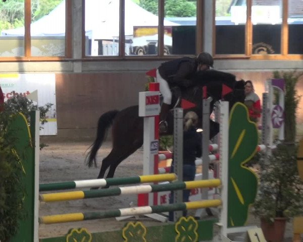 Reitturnier Leverkusen-Rheindorf 2019