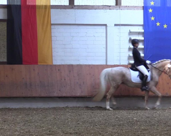 Reitturnier Bottrop 2019