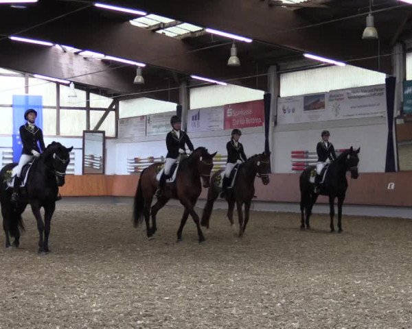 Reitturnier Bottrop 2019