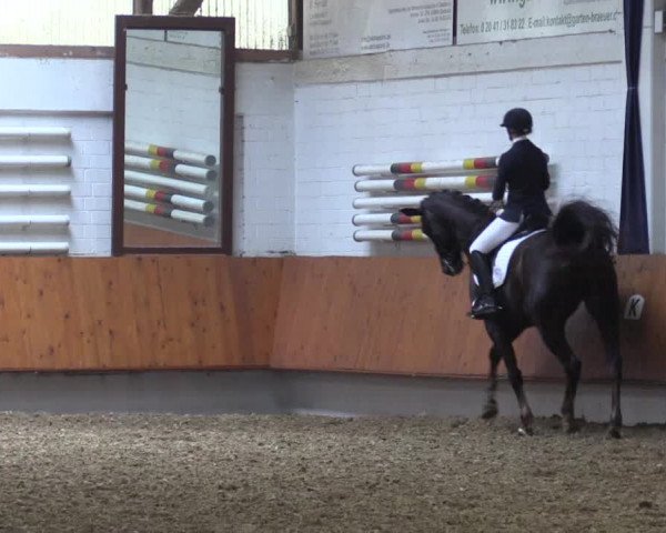 Reitturnier Bottrop 2019
