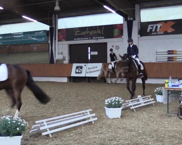 Reitturnier Bottrop 2019