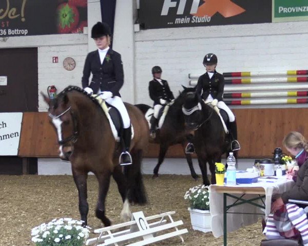 Reitturnier Bottrop 2019