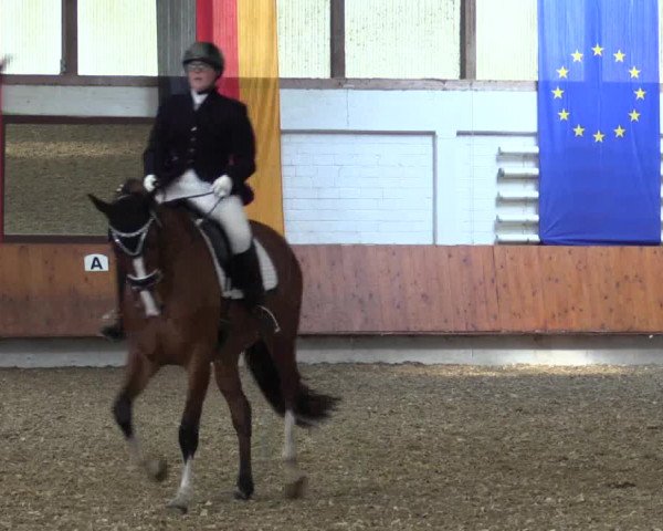 Reitturnier Bottrop 2019