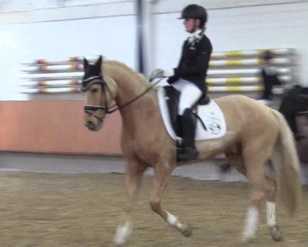 Reitturnier Bottrop 2019
