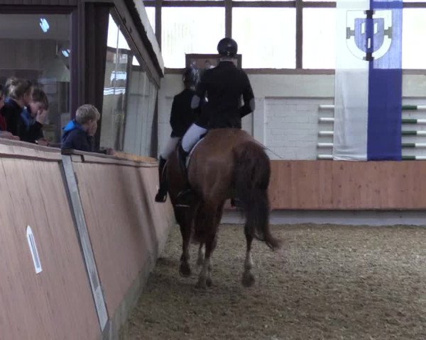Reitturnier Bottrop 2019