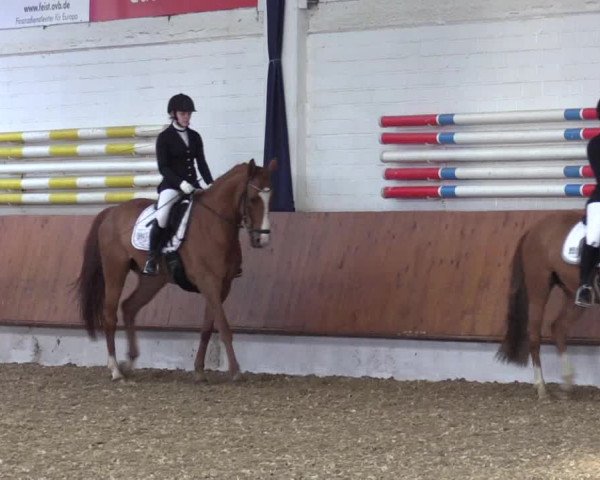 Reitturnier Bottrop 2019